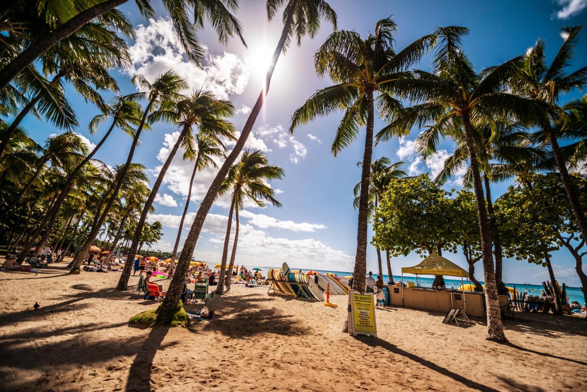 Newly Renovated With Ocean View Near Waikiki Appartamento